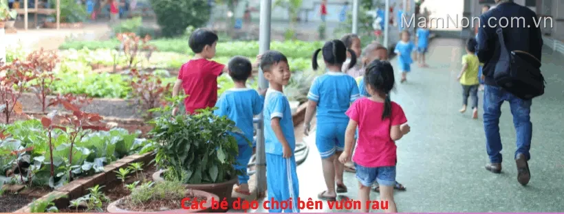 Trường Mầm Non Thỏ Ngọc MTG