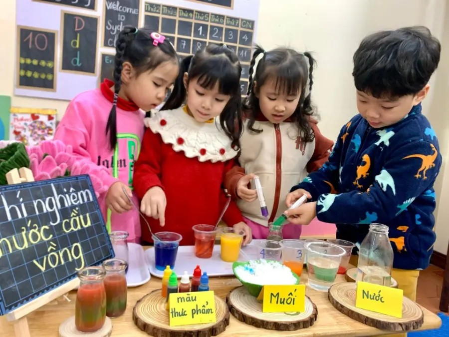 Mầm non Bách Việt 2