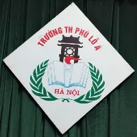 Trường Tiểu Học Phù Lỗ A