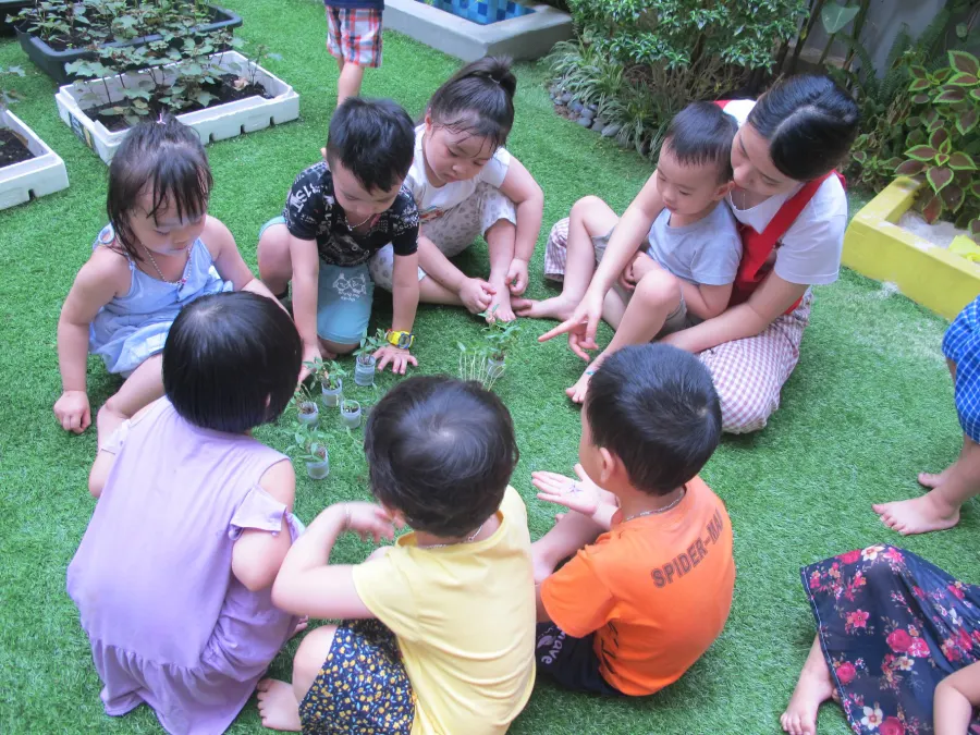 Trường mầm non Nobel